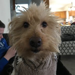 Meet your Posher, Mary